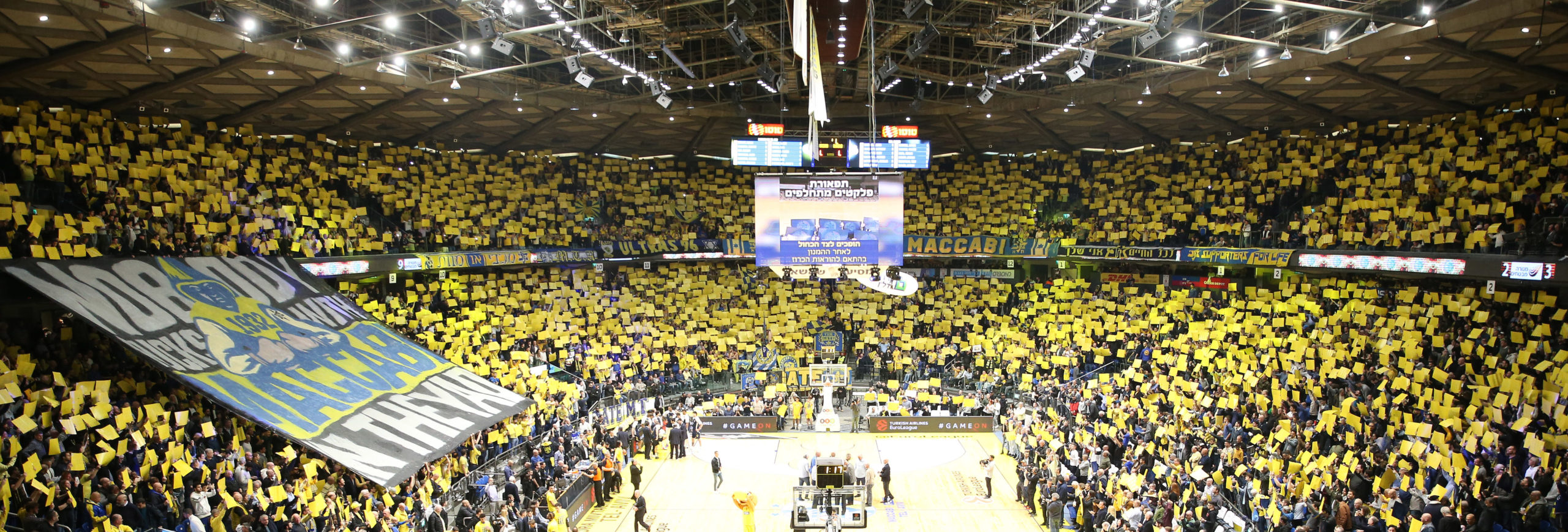 מכבי תל אביב